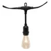 Electric Commercial Grade String Lights With 12 Clear Edison Bulbs
