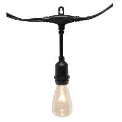 Electric Commercial Grade String Lights With 12 Clear Edison Bulbs