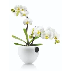 Eva Solo Self-Watering Orchid Pot - 17cm