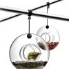 Eva Solo Hanging Bird Feeder