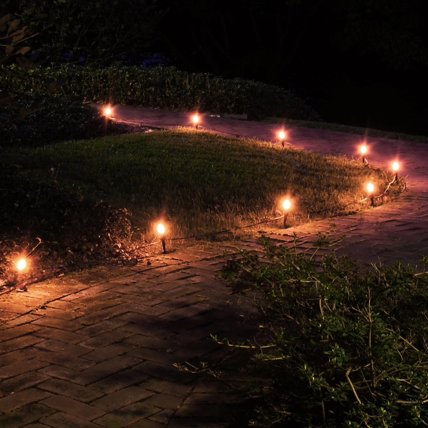Electric Pathway Lights With 10 Bulbs - Image 10