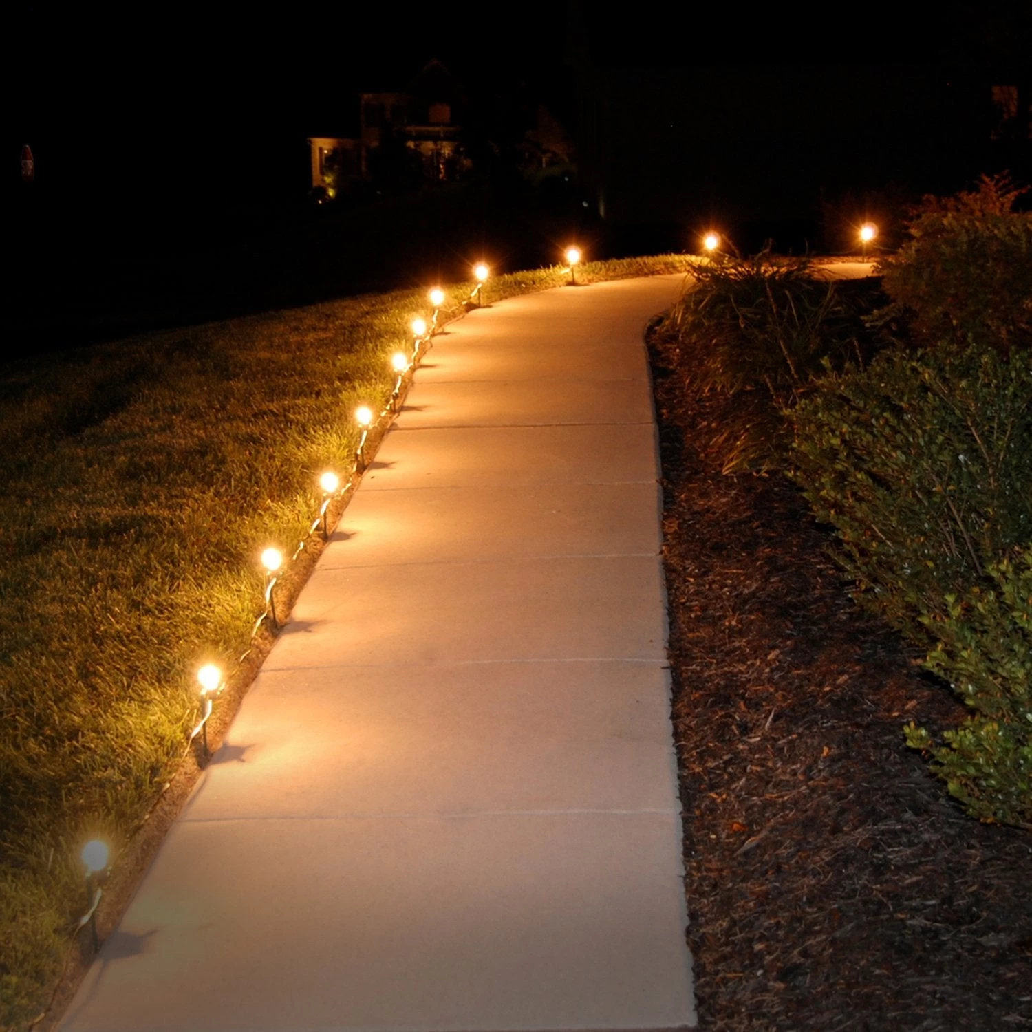 Electric Pathway Lights With 10 Bulbs - Image 5
