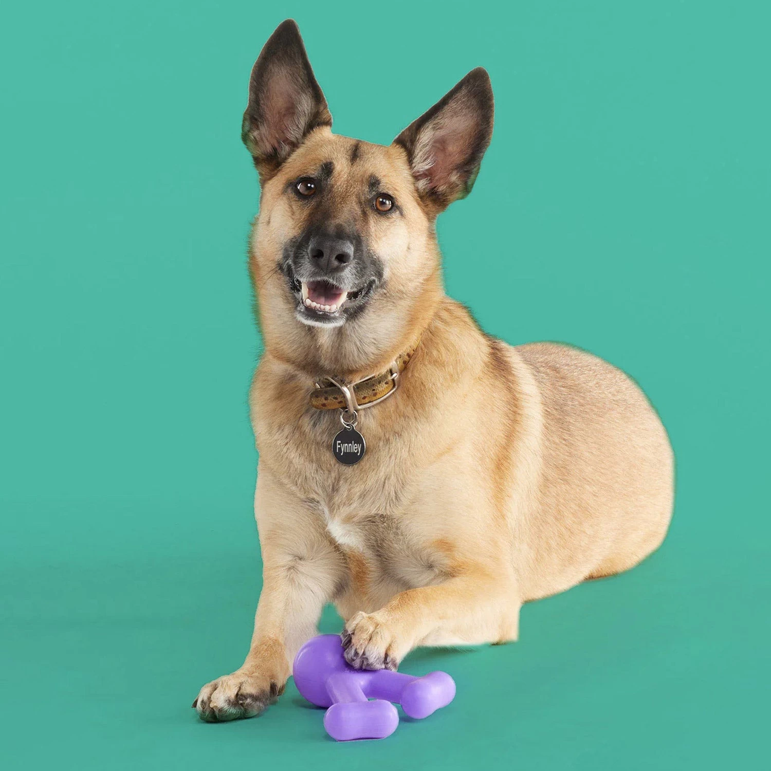 Yomp FunnyBone Dog Toy - Image 2
