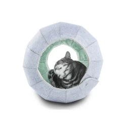 K1 Dragon Ball Cat Cave