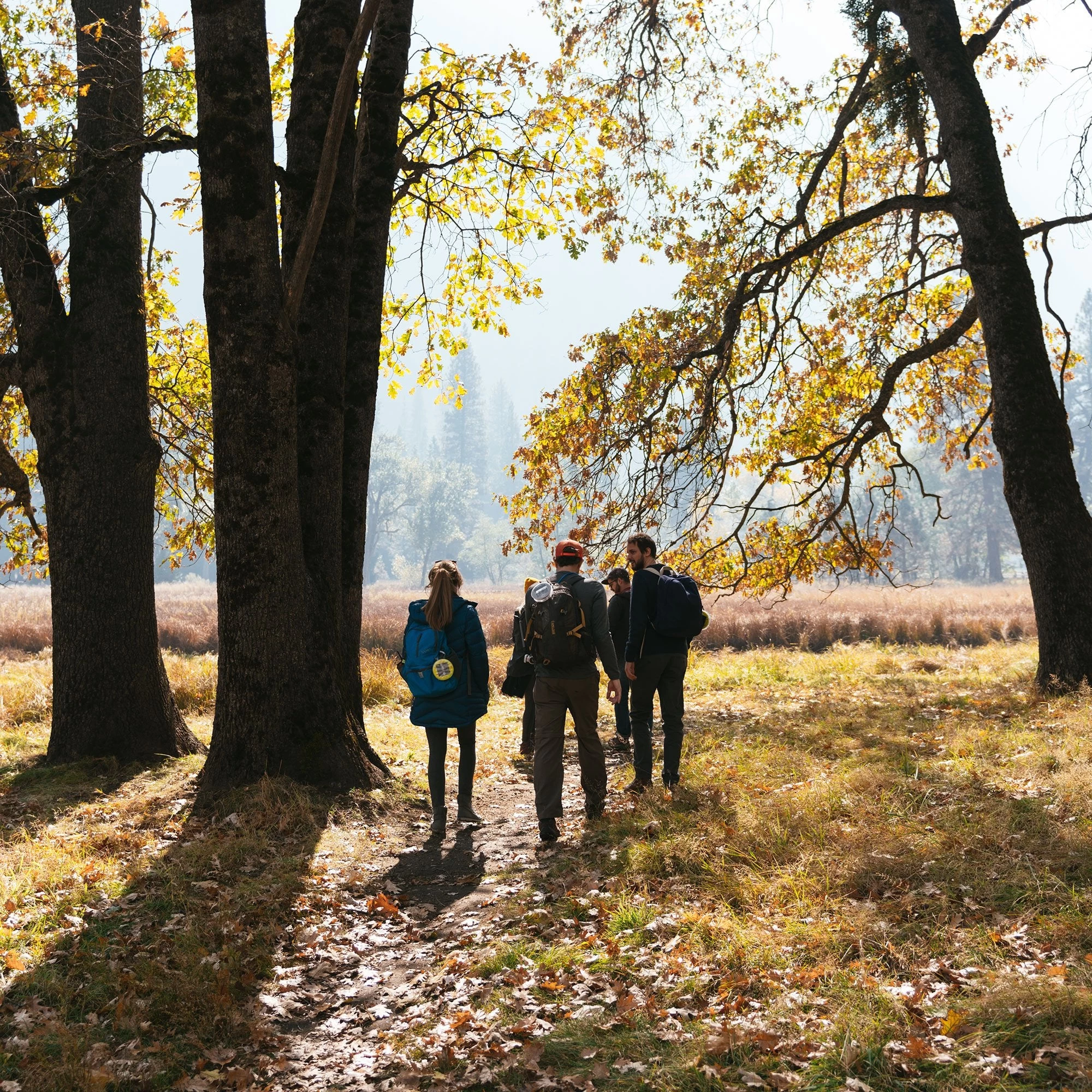 MPOWERD Luci Pro Outdoor 2.0: Solar Inflatable Lantern + Charger - Image 3