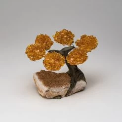 Small Citrine Clustered Gemstone Tree On Citrine Matrix (The Money Tree)