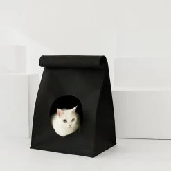 Hide And Seek Cat House