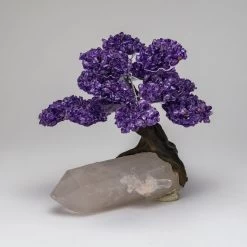 Large - Genuine Amethyst Clustered Gemstone Tree On A Clear Quartz Crystal (The Harmony Tree)