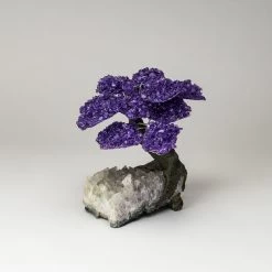 Large - Genuine Amethyst Clustered Gemstone Tree On Clear Quartz Matrix (The Relaxation Tree)