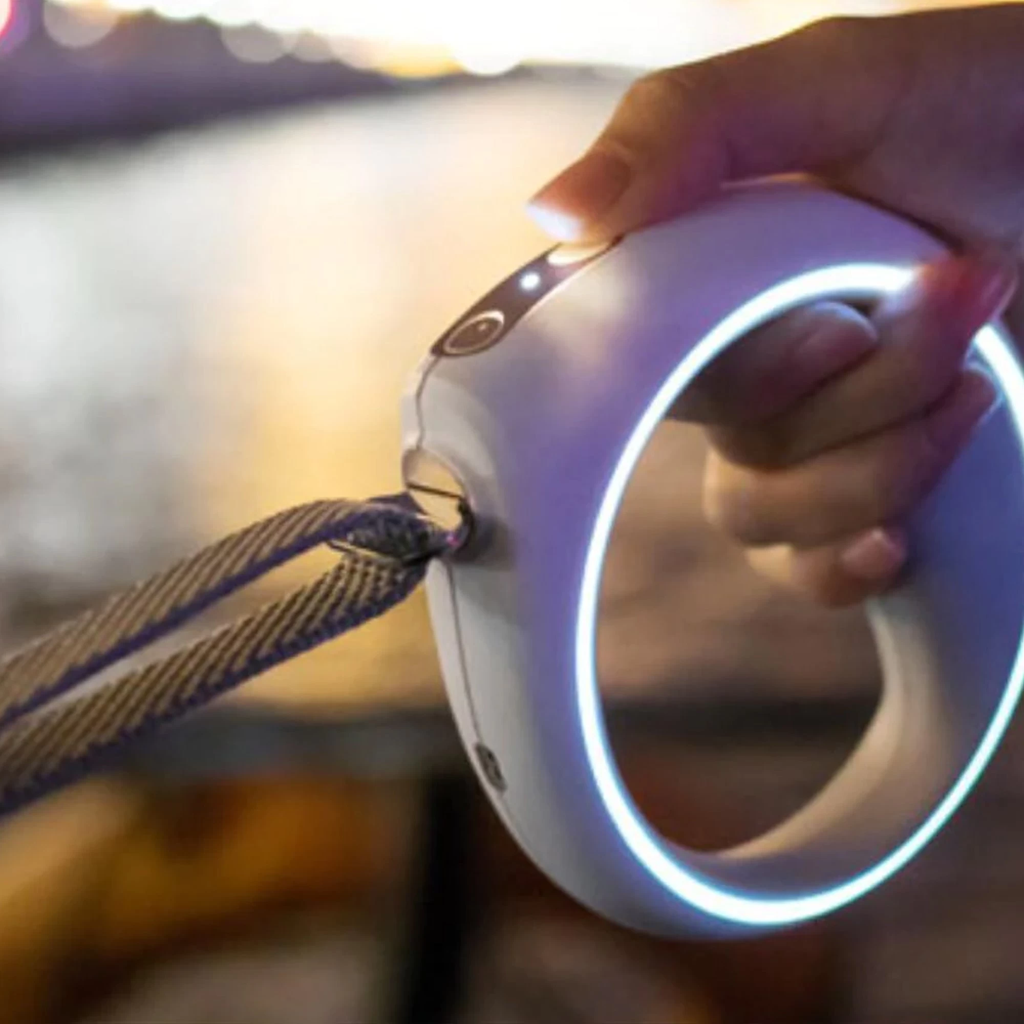 PETKIT GO Bluetooth Smart Dog Leash - Image 2